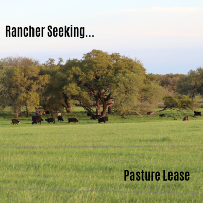 Rancher Seeking…Pasture Lease Ad Number: 201