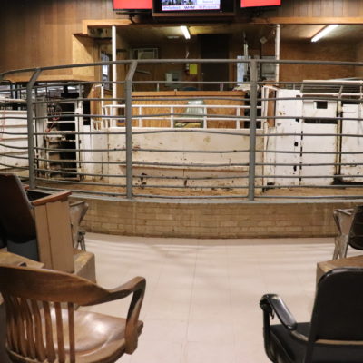 What is the Livestock Auction Process?