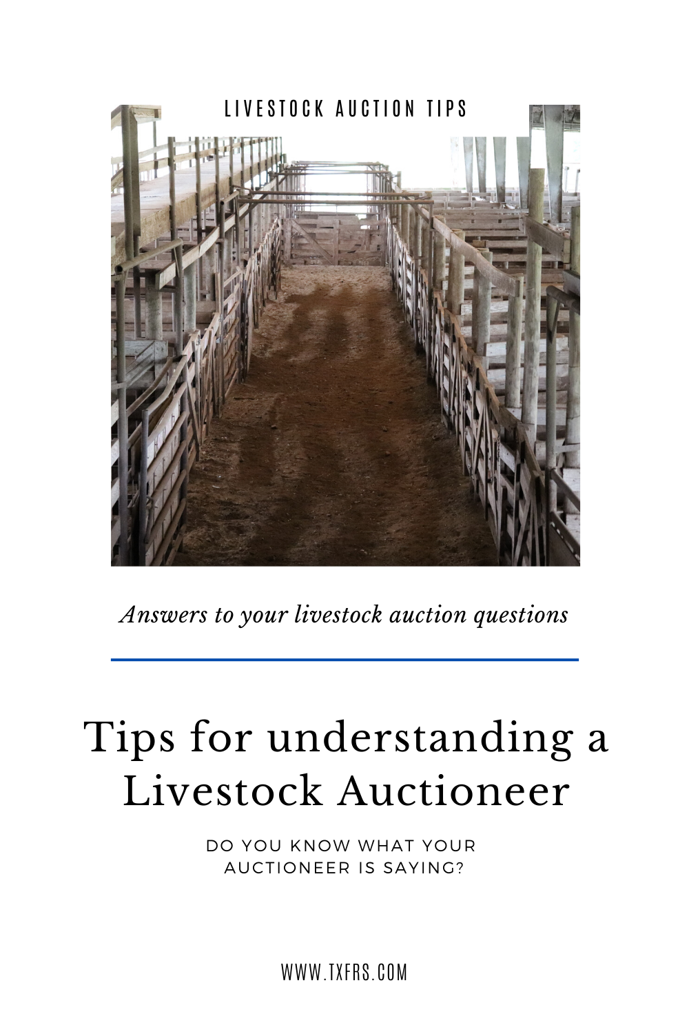 Tips for Understanding a Livestock Auctioneer - Texas Farm & Ranch ...