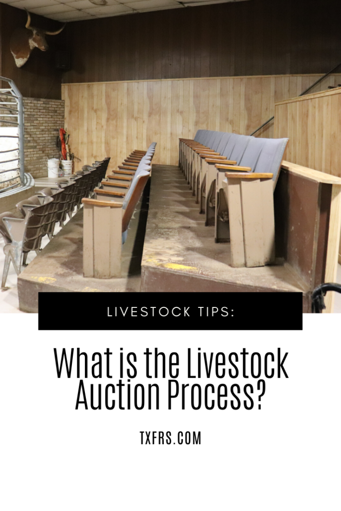 WHAT IS THE LIVESTOCK AUCTION PROCESS