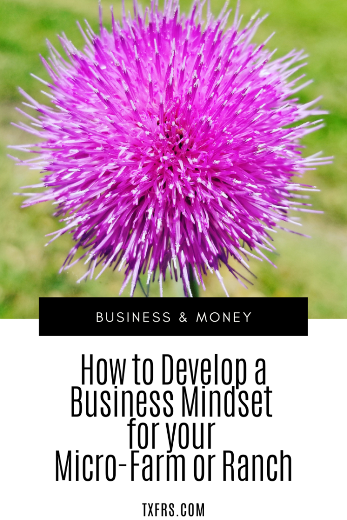 How to Develop a Business Mindset