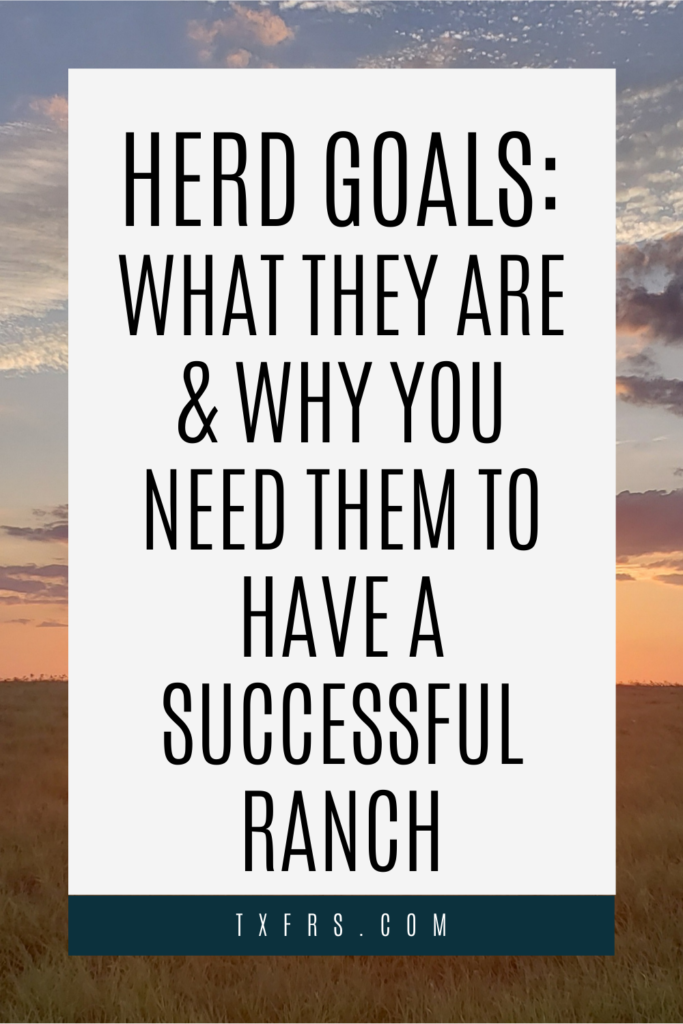 Herd Goals: What they are and Why you need them