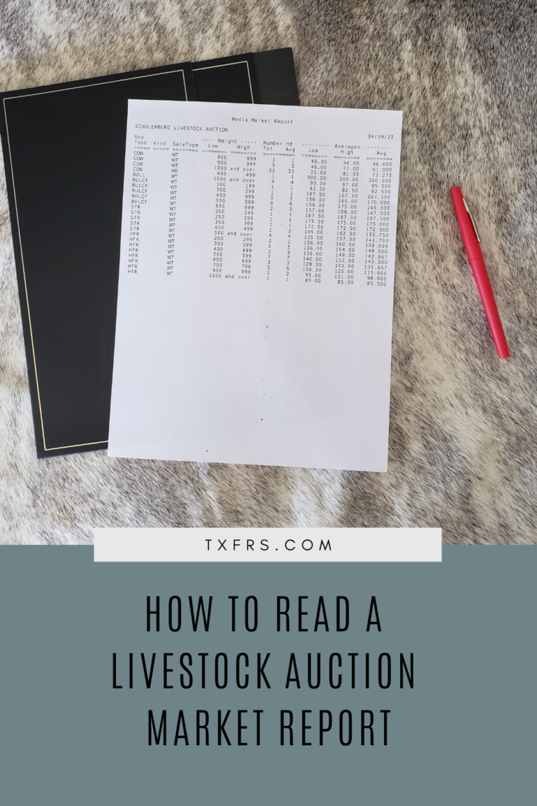 Do You Know How to Read a Livestock Auction Market Report? Texas Farm