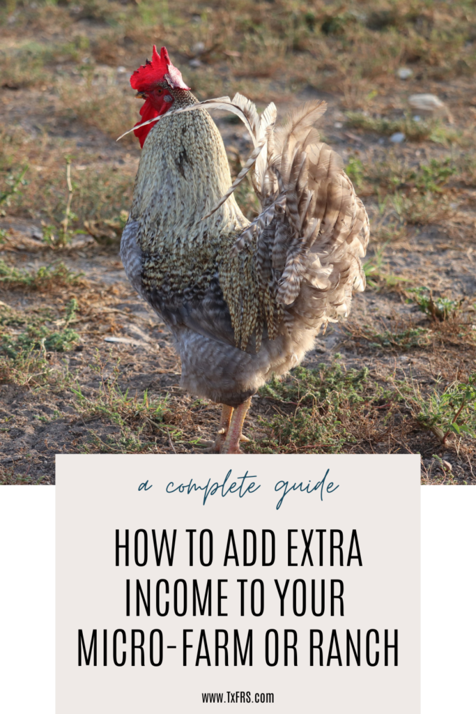 How to Add Extra Income to your Micro-Farm or Ranch
