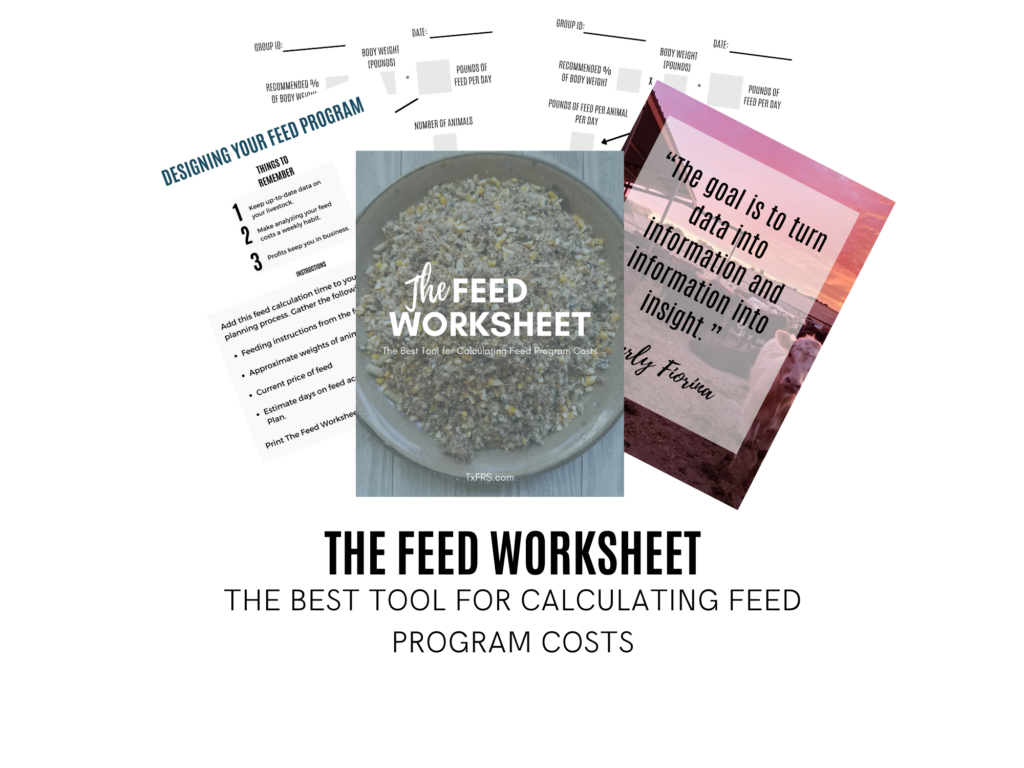 The Feed Worksheet